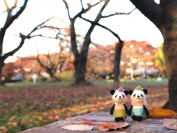 ���ǂ��p���_